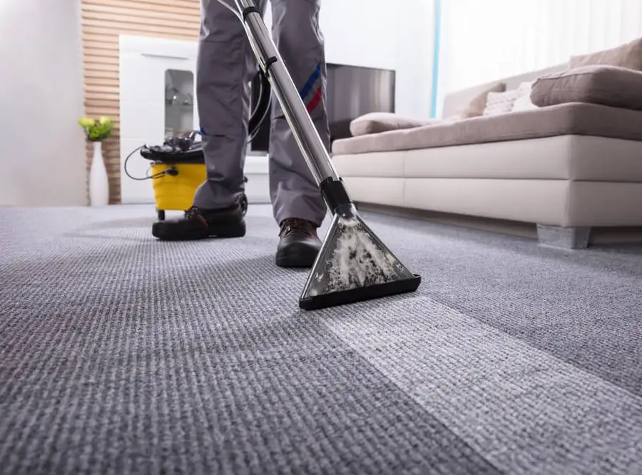 Carpet Cleaning Services